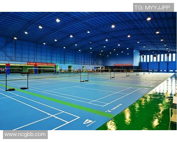 广州羽毛球队近期状态分析与表现评估探讨