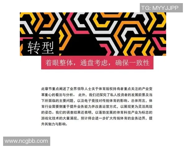 北京排球队的速度分析与战术应用探讨助力球队提升竞技水平