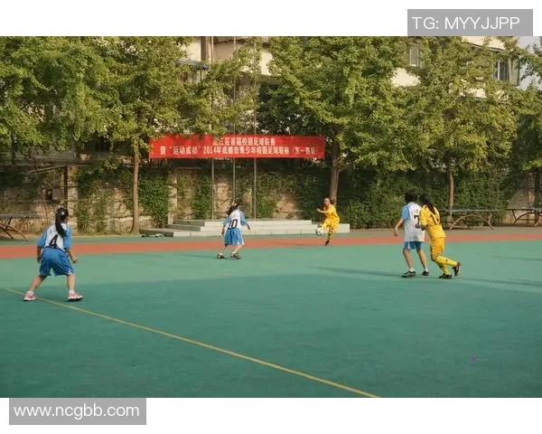 成都网球队的拼搏之路：挑战赛背后的奋斗与坚持故事