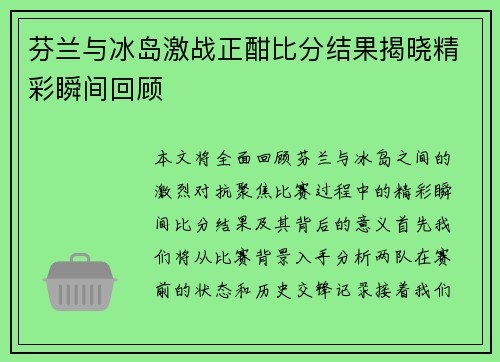 芬兰与冰岛激战正酣比分结果揭晓精彩瞬间回顾